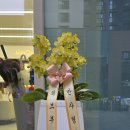 재민약국 이미지