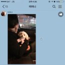 러블리독스 이미지