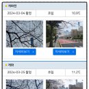 남천2동 행정복지센터 이미지