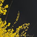 아침별 남부&여성의원 | 난임일기 4) 시험관 난자 채취 과정 / 채취 후 회복기 / 청주 엠에스 여성의원