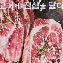 그레이스돈뭉치