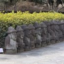 제주 천지연 담팔수 자생지 | 제주여행 가볼만한곳 1월말 겨울에 산책하기좋은 서귀포 천지연폭포풍경