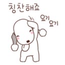 플로라그루밍독 이미지