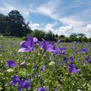 칠보농협하나로마트 이미지