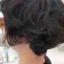 노벨리아 헤어 이미지