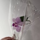 양원꽃집 이미지