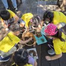 초록샘어린이집 이미지