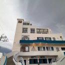 방파제 | 강릉 여행선물 추천 강릉샌드 본점 방문 후기 방파제빵까지 정복