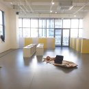 오프독 반려견 종합교육문화센터 이미지