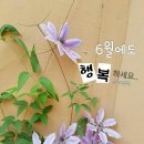 유월에 이미지