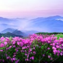 자연으로 이미지