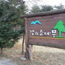 정선펜션1박2일