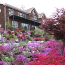 옹달샘펜션 이미지