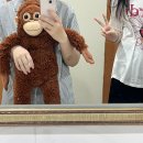 6홰한 일상 77ㅑ