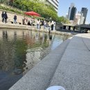 영이네수산 이미지