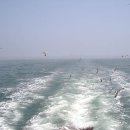 삼죽농협 옆 이미지