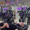 장산역 | 좌동 헬스장 벡스휘트니스 장산역 PT 후기 하체 힙딥 운동 집중하기
