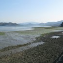 사천대교 부근