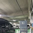 앨리스파파 시민공원 | 부산 키즈카페 추천 초대형 앨리스파파 시민공원 솔직후기