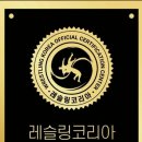 팀헐크레슬링 이미지