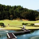 통도자리 네이버블로그
