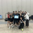 크로스핏 코알라 이미지