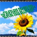 팔구공(890)