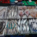 영광터미널시장 이미지