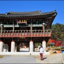 무릉도원면-34 이미지