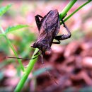 예슬이네 이미지