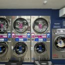 에코운동화이불빨래방 이미지