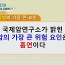 [의학 팩트체크] 1) 매운맛의 배신, 고추가 암을 유발한다? 2) 팔꿈치·무릎 살리는 법 3) 혈압, 숫자에 속지 마라... 이미지
