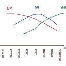 커피씨 이미지
