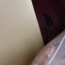 댕댕워시 이미지