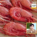 살림남 박서진 울릉도 독도새우 먹은 식당 정보 총정리 - 서진이네 첫 완전체 가족 여행 인 울릉도