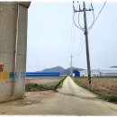 천안오골계농장 | 천안 육묘장 추천 제일육묘장 - 고품질 텃밭 모종, 주말농장 모종