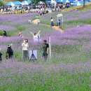 장성공원2 이미지