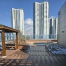 애견유치원&호텔 초댕학교 이미지