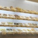 쑈준간촨촨향훠궈 이미지