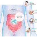 면역력·장건강에 좋다는 유산균, 부작용 정말 없을까 이미지