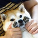 언니생각 이미지