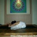 행복충전힐링요가 이미지