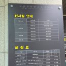 석탄1 | 강원도 태백 가볼만한곳 태백석탄박물관 여행 체험 관광 방문 관람 힐링후기 1