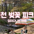 목상동 솔밭길 이미지