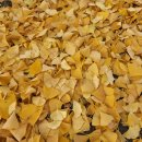 춘천교육대학교 이미지