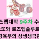영스랩 안티에이징 연구소 이미지