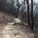 대덕산장터 이미지