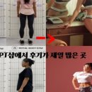 로얄바디짐 PT 백석점3호점 이미지