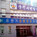 윤현기정형외과 Daum카페