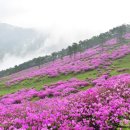 큰재목장가든 이미지